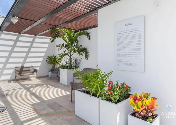 1br W Pool & Gym Apartment Playa del Carmen